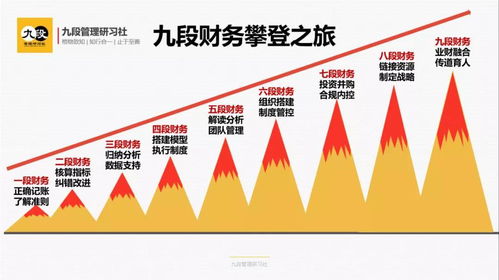 九段先生 九段財務(wù),業(yè)財融合時代企業(yè)財務(wù)的九段攀登之旅